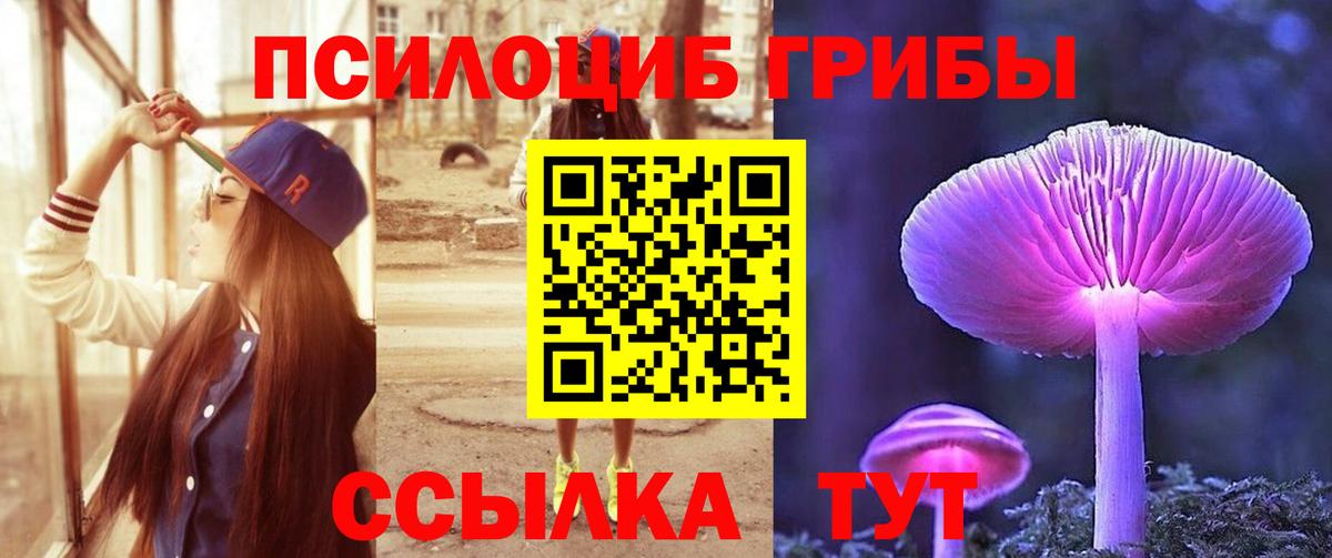 Псилоцибиновые грибы мицелий Семёнов