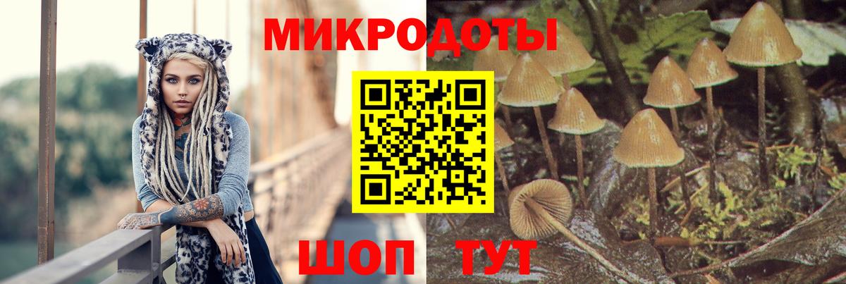 Семёнов  Псилоцибиновые грибы Psilocybe  Вход с VPN  купить наркотики сайты  Галлюциногенные грибы Cubensis 